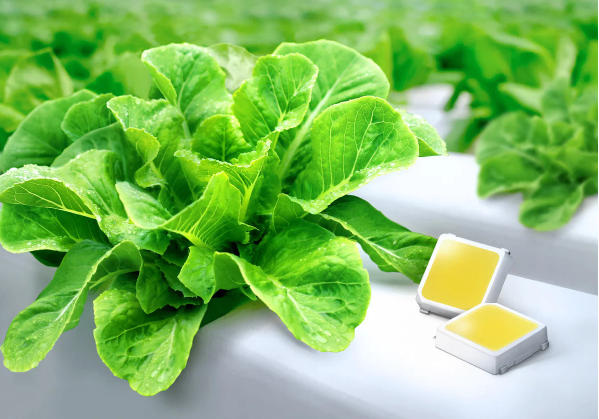 Samsung LM301H vs. LM301B - the best LED chips for plant lighting